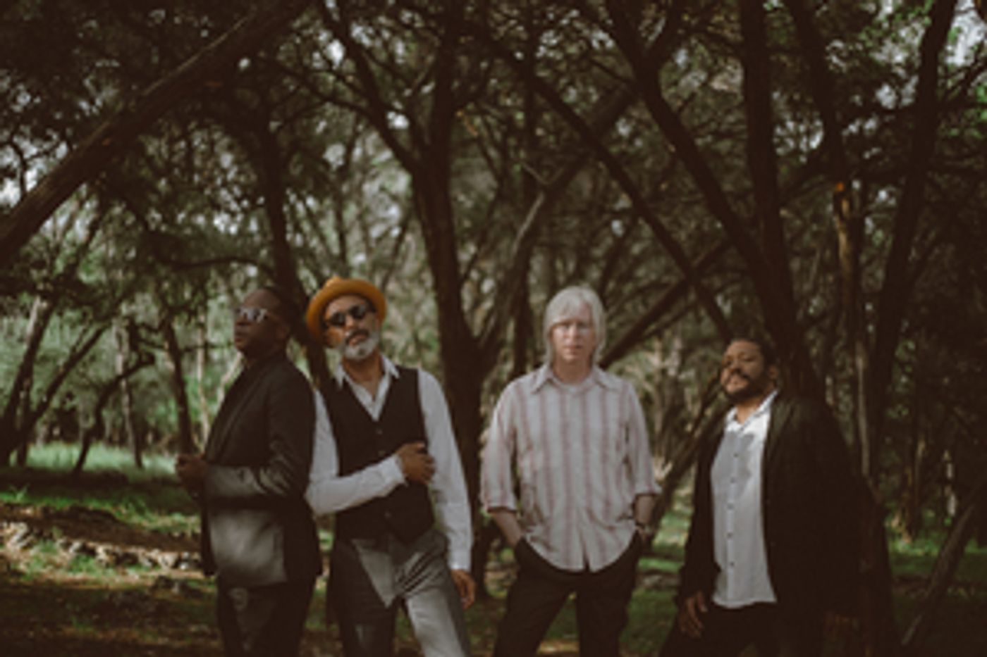 The Reverend Shawn Amos Shares New Video 'Stranger Than Today'  Image