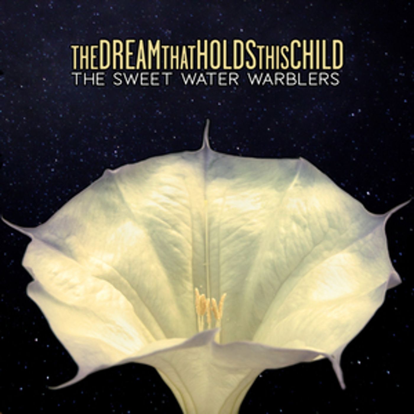The Sweet Water Warblers Announce Debut Album The Sweet Water Warblers Announce Debut Album Image