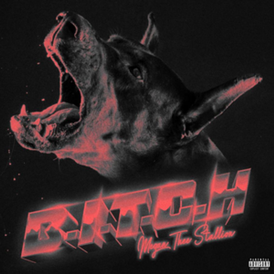 Megan Thee Stallion Unleashes New Track 'B.I.T.C.H'   ​ ﻿   Image