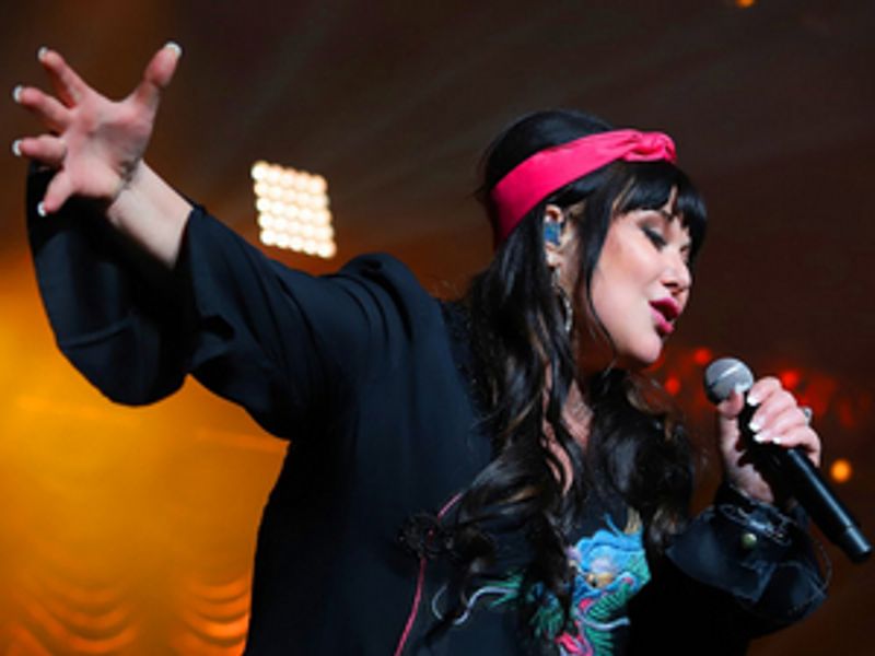 Ann Wilson Confirms North American Headline Tour Image