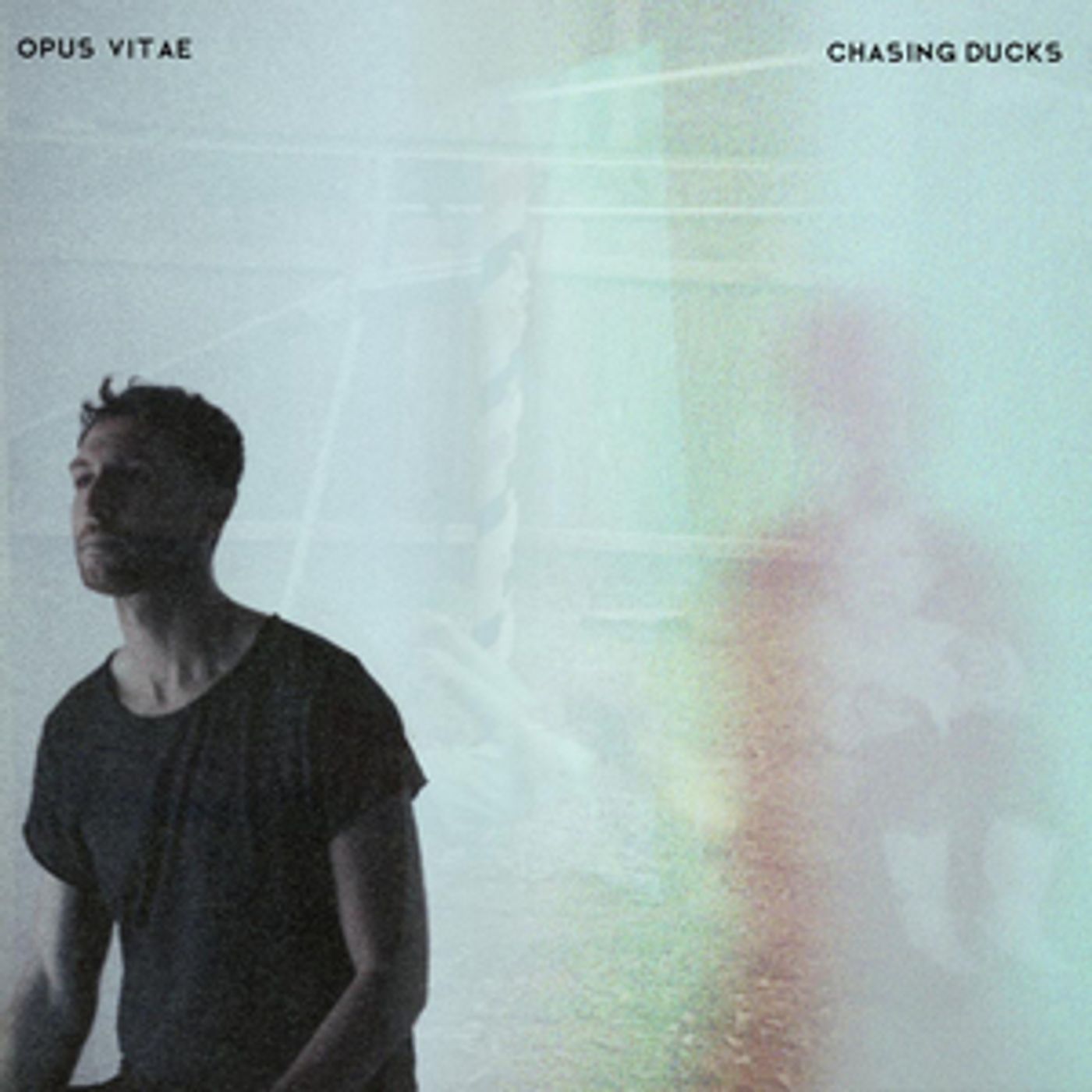Opus Vitae Shares Melancholy Track 'Chasing Ducks' Opus Vitae Shares Melancholy Track 'Chasing Ducks' Image
