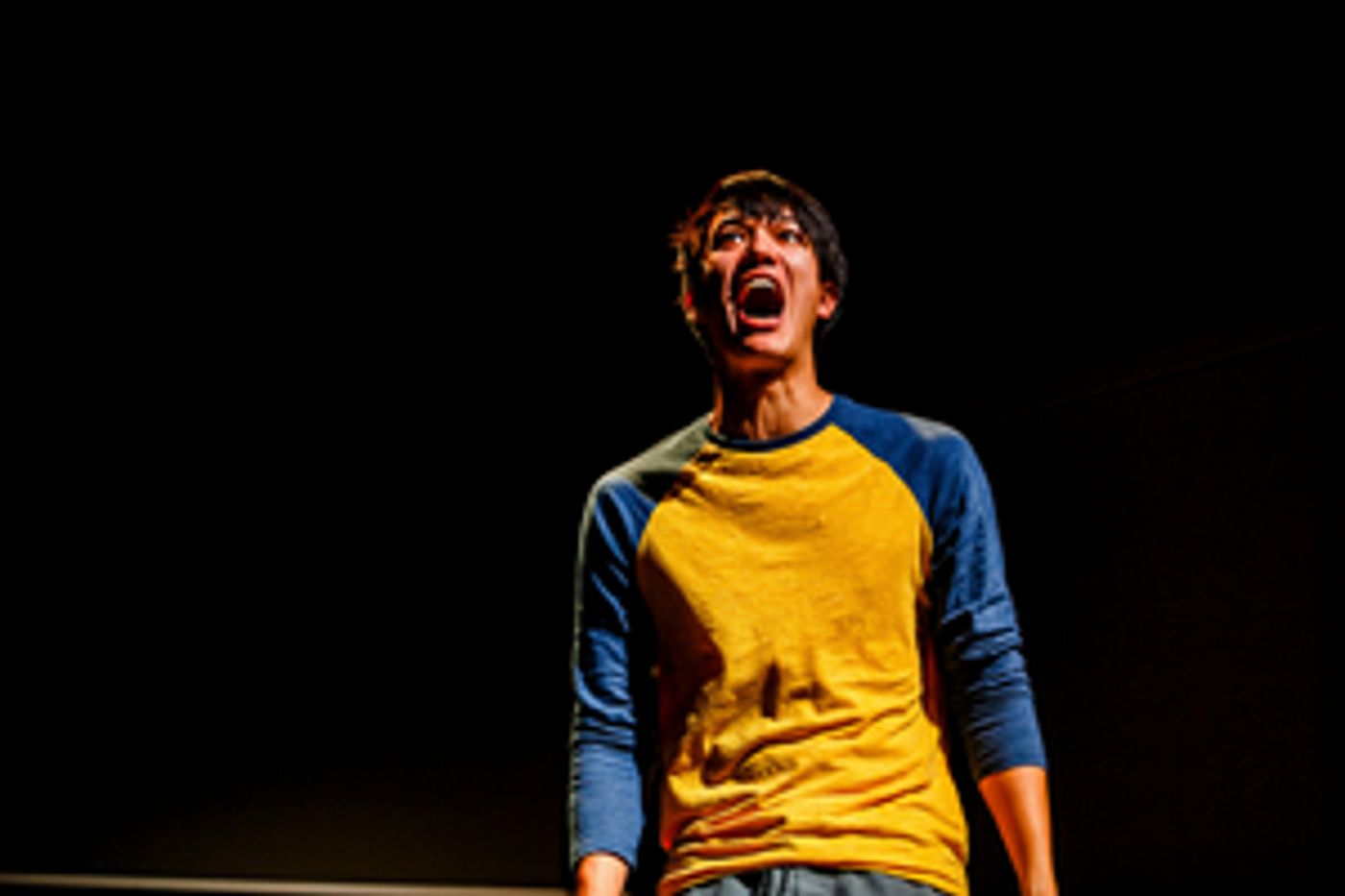 Review: WOLF PLAY at Company One Theatre  Image