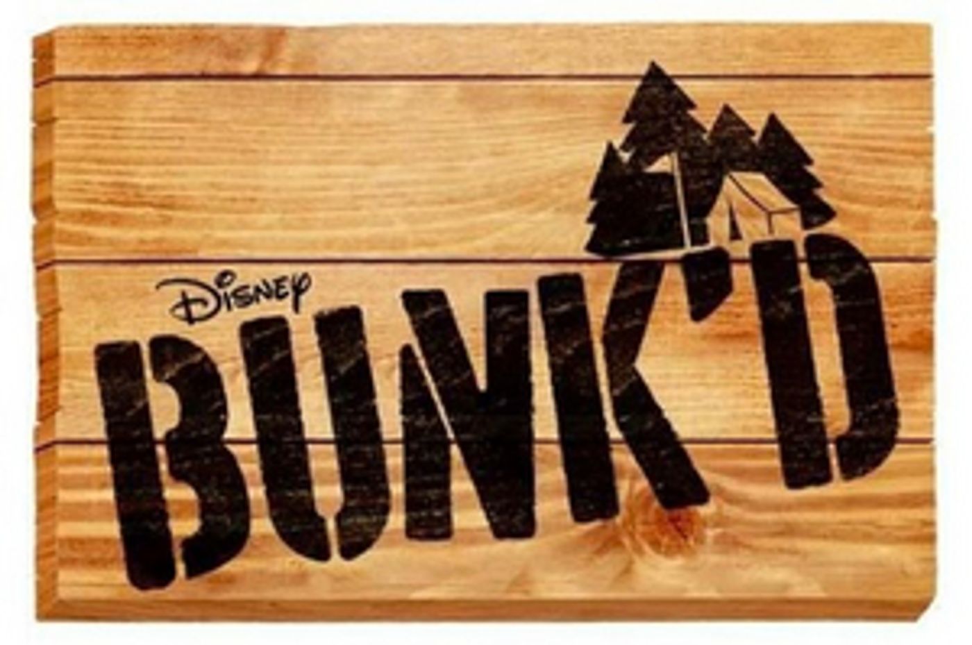 Disney Channel Renews BUNK'D for a Fifth Season  Image
