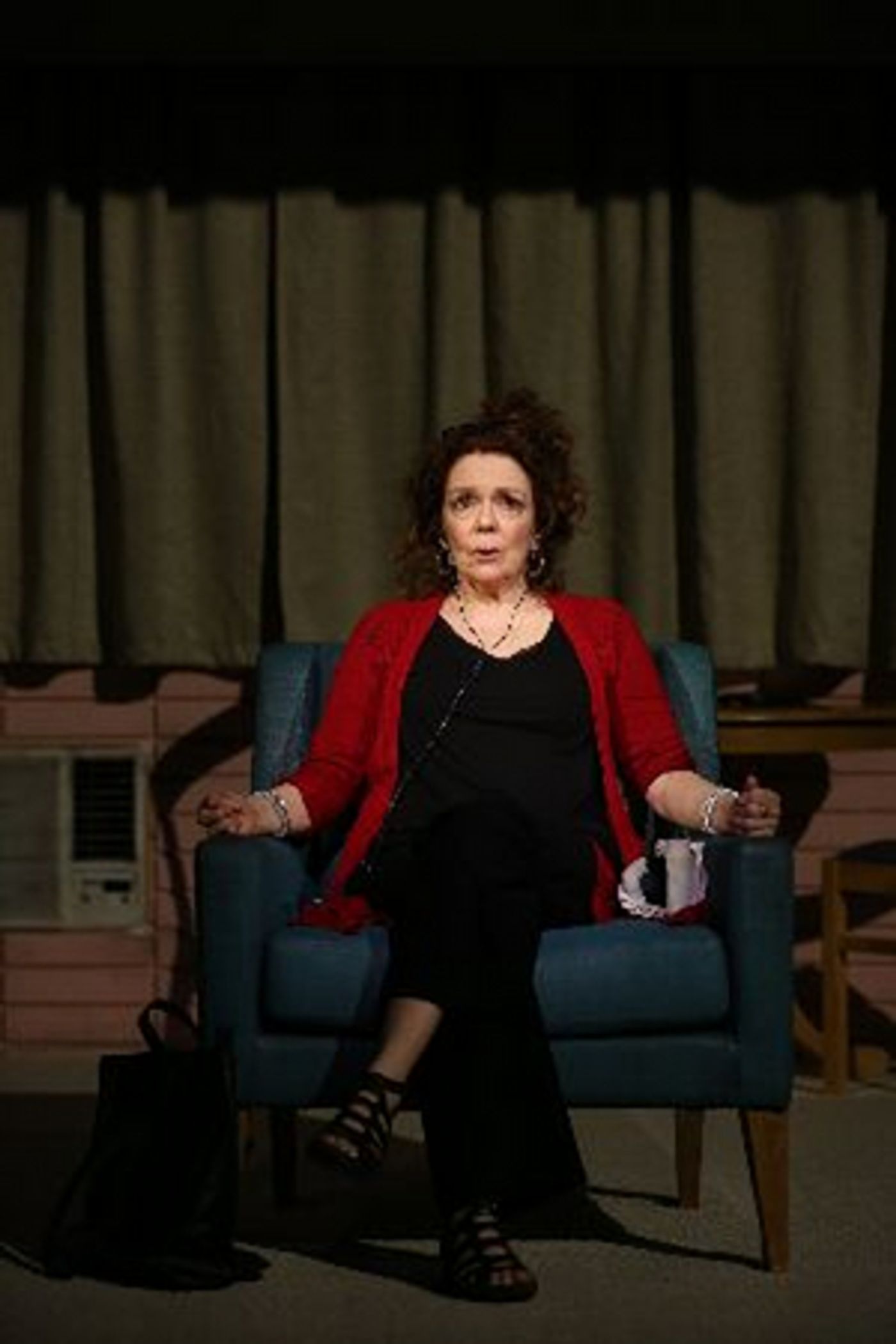 Vineyard Theatre's DANA H. Extends Until April 11  Image