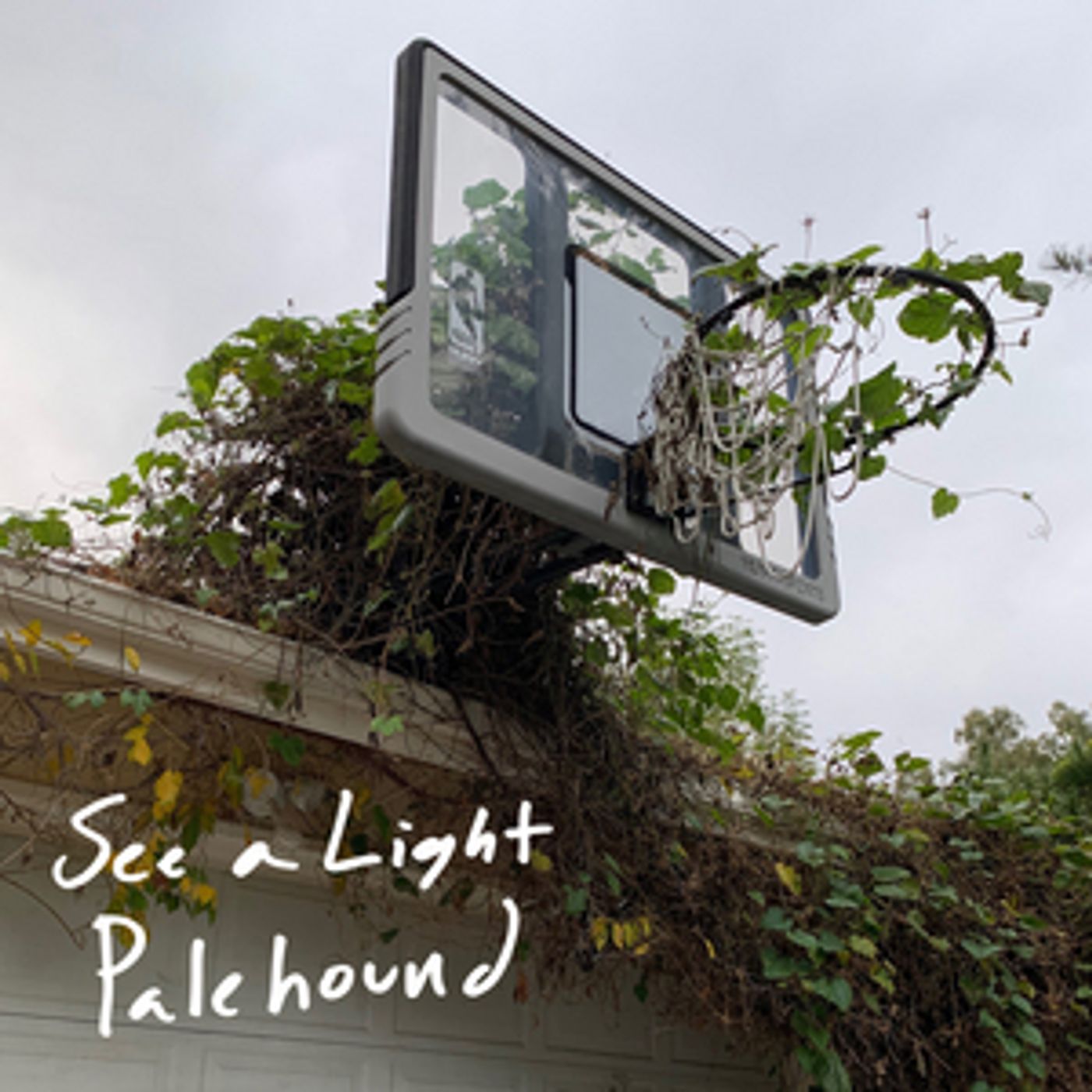 Palehound Shares New Single 'See A Light'  Image