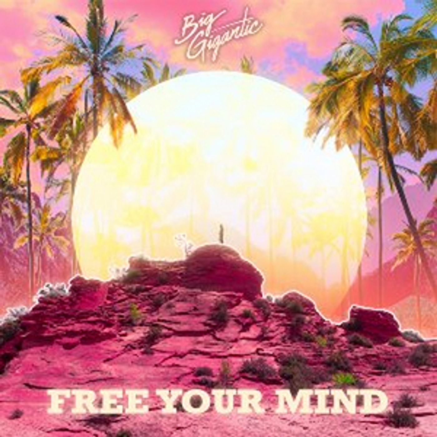 Big Gigantic Releases New Studio Album FREE YOUR MIND  Image