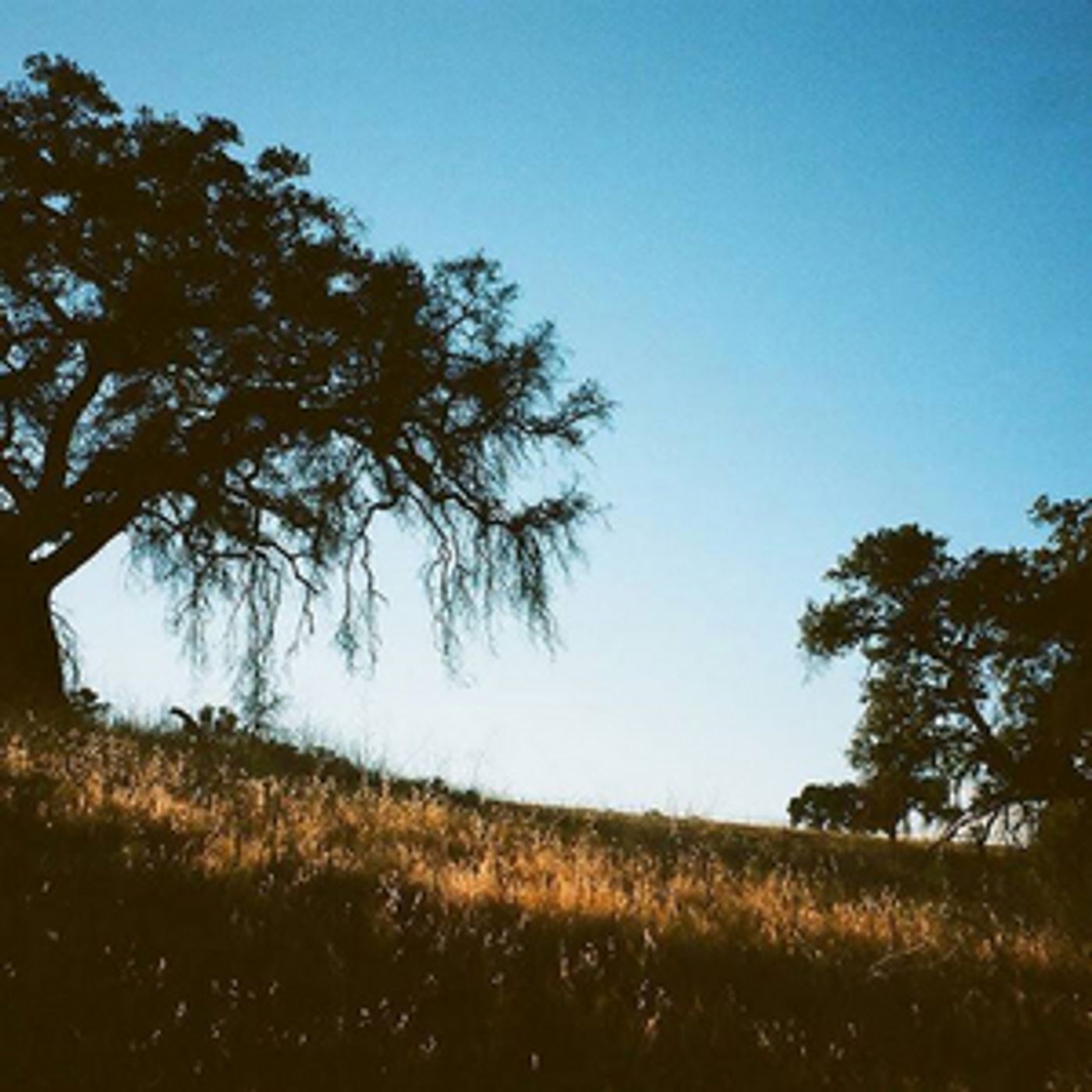 Gnash Shares His Latest Single 'Fear' Gnash Shares His Latest Single 'Fear' Image