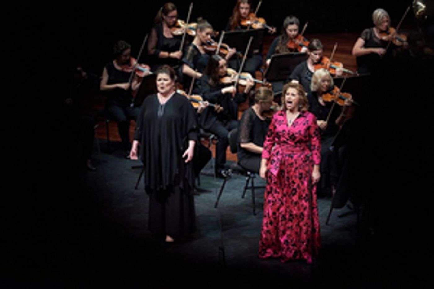 Review: BEETHOVEN'S FIDELIO at Perth Festival Review: BEETHOVEN'S FIDELIO at Perth Festival Image