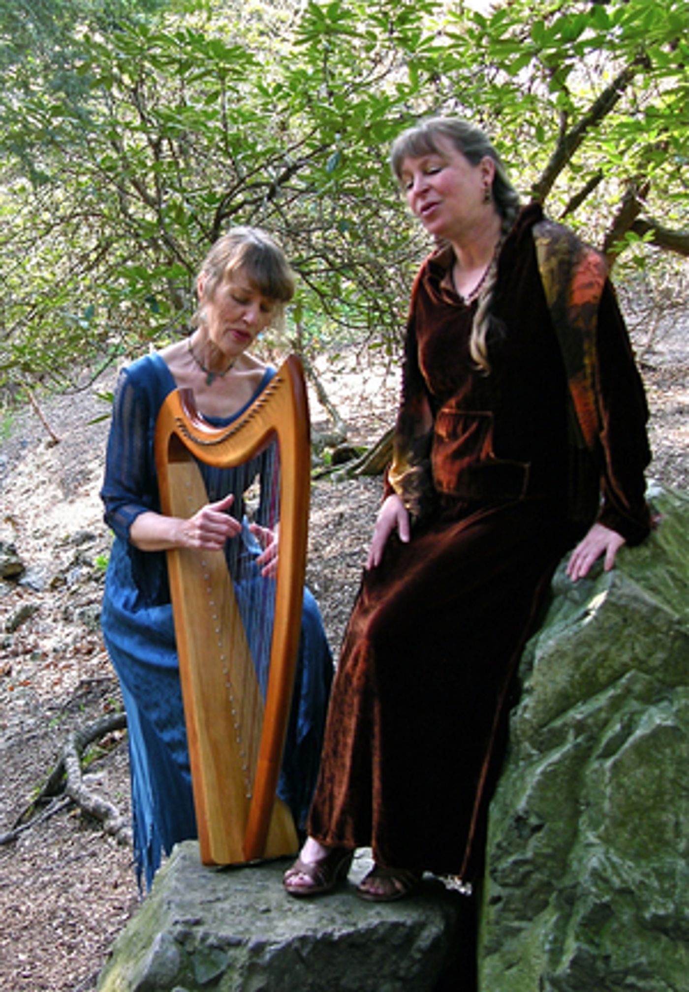 Second Week of NHTP's 4th Annual Storytelling Festival Will Celebrate Celtic Stories and Music Second Week of NHTP's 4th Annual Storytelling Festival Will Celebrate Celtic Stories and Music Image