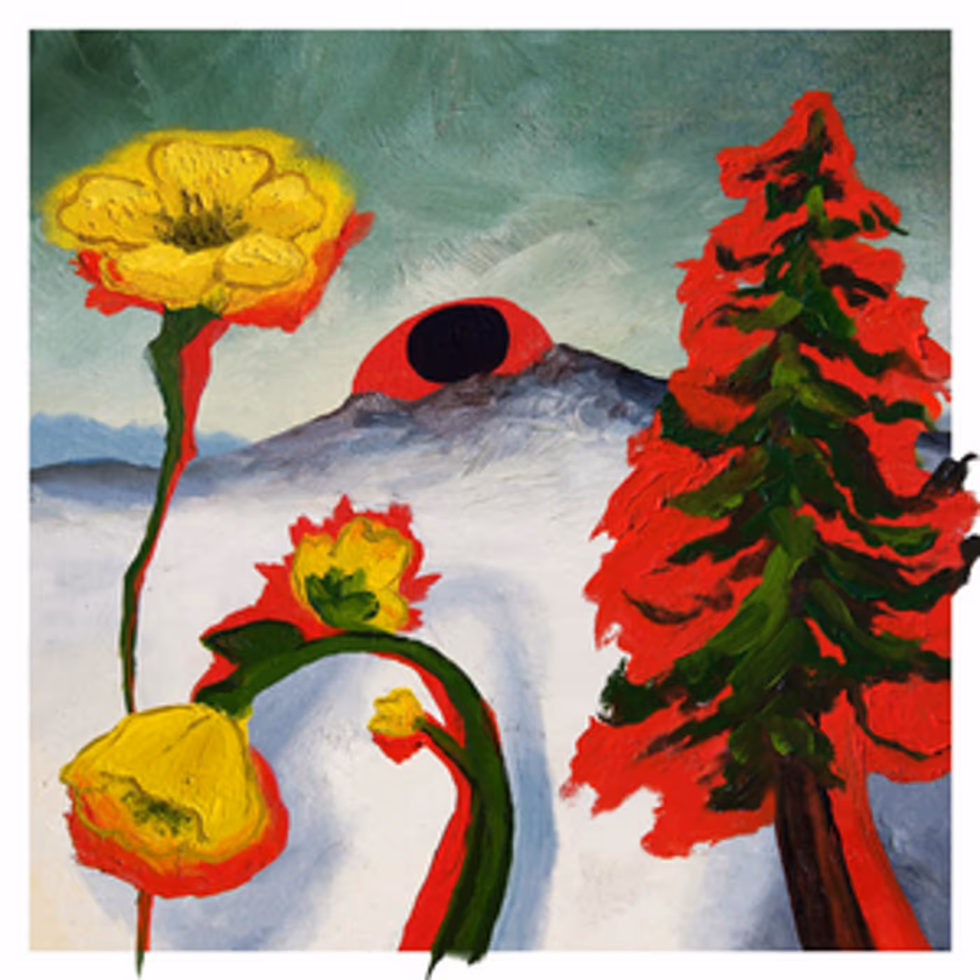 Woods Announces New Album STRANGE TO EXPLAIN  Image