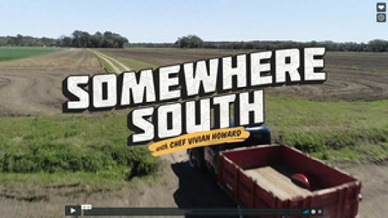 SOMEWHERE SOUTH with Vivian Howard Airs March 27 on PBS Friday Image