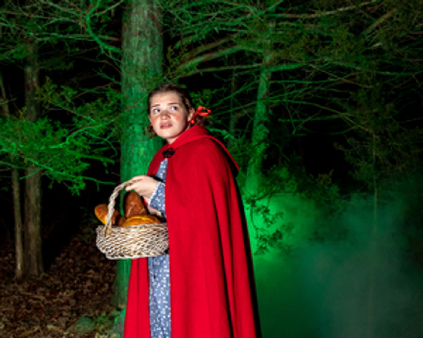 Review: INTO THE WOODS at Red Curtain Theatre Get Their Wishes  Image