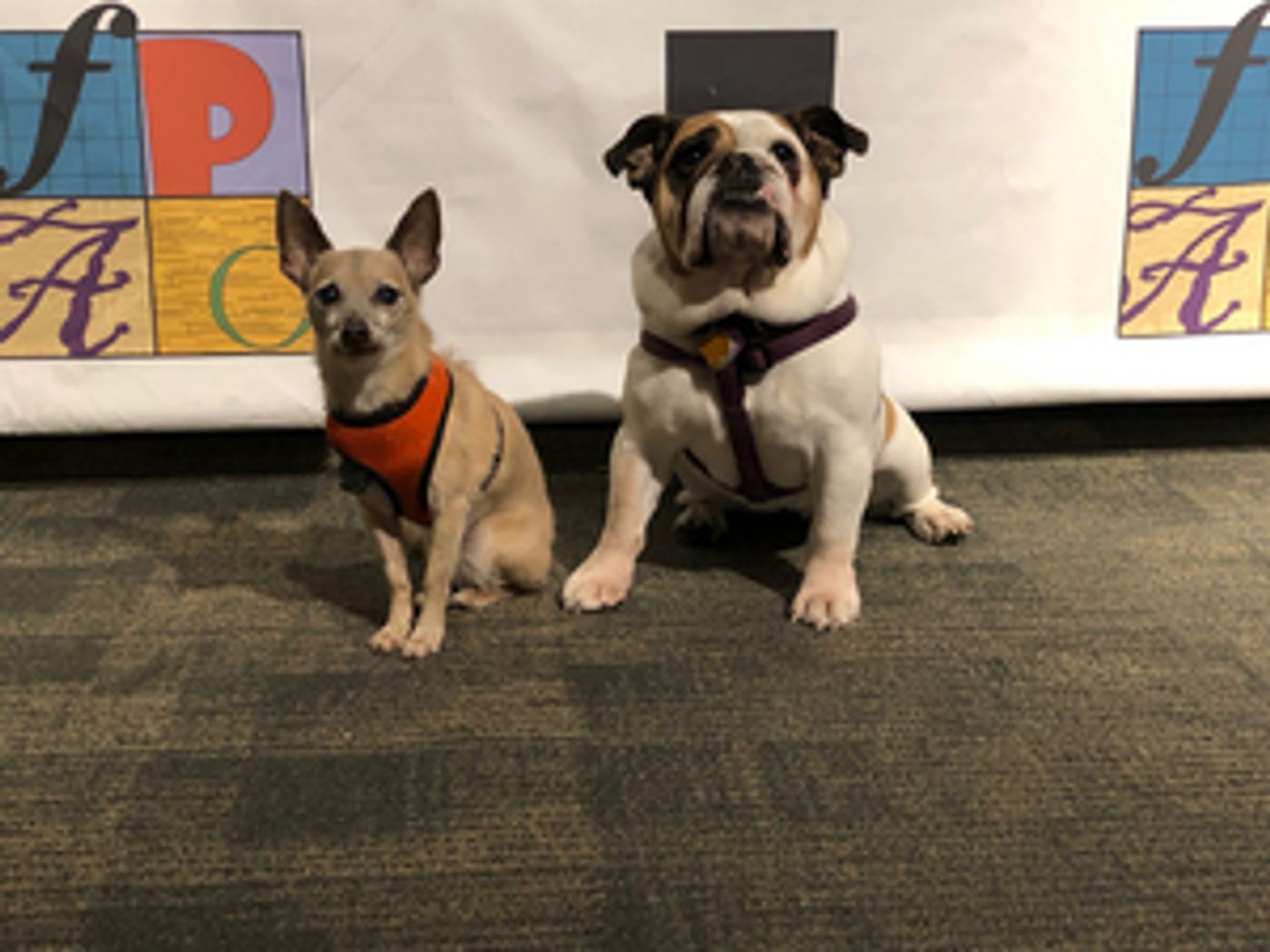 The Franklin Performing Arts Company to Feature Broadway Dogs in LEGALLY BLONDE  Image