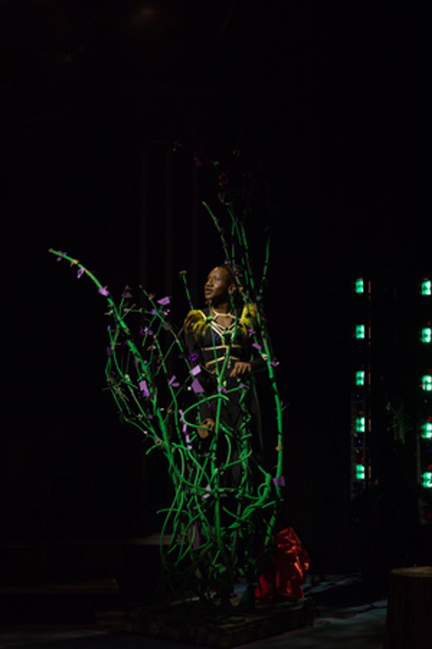 Review: HEAD OVER HEELS  at Monumental Theatre Company  Image