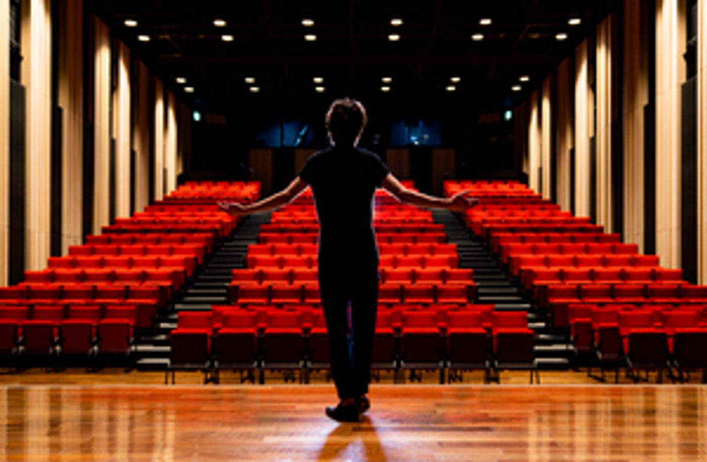 BWW Blog: The Stigma Against School Productions and Why They Are Wrong BWW Blog: The Stigma Against School Productions and Why They Are Wrong Image