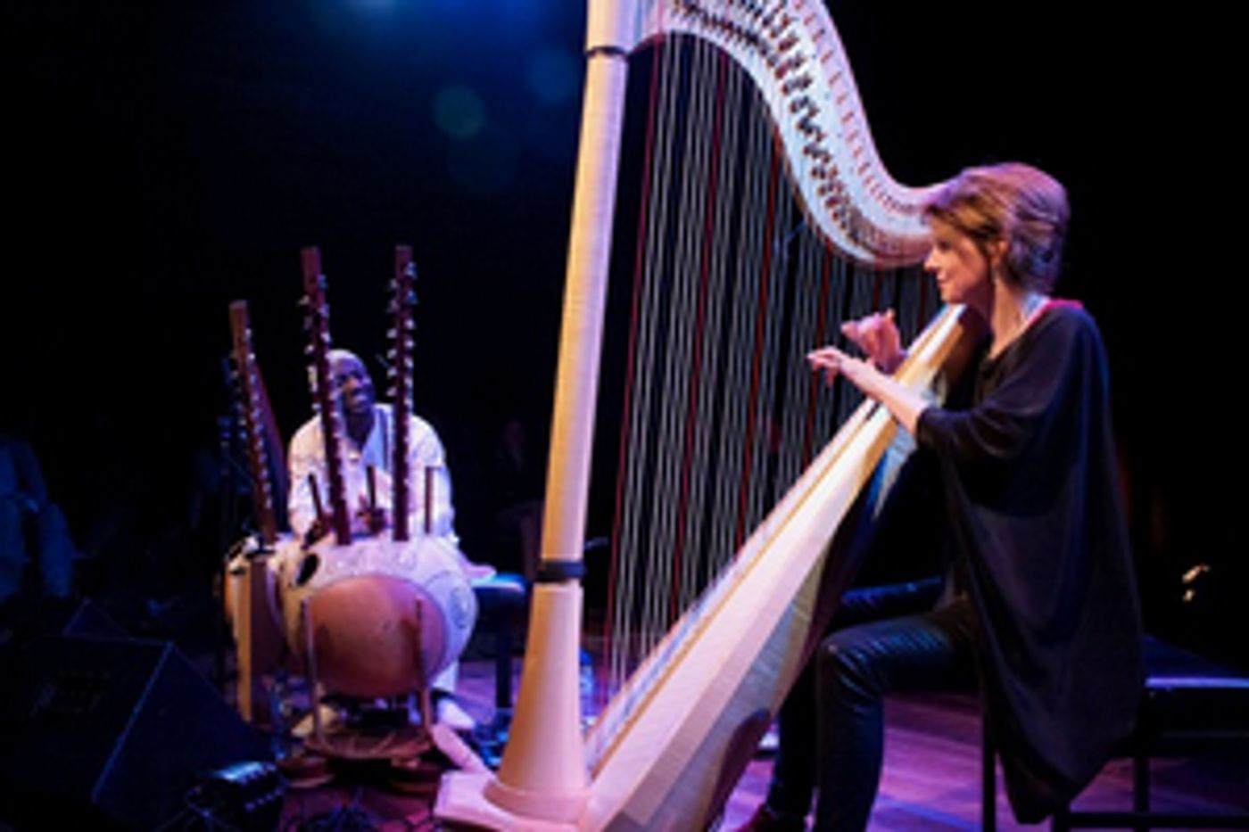 Review: WOMADELAIDE 2020: DAY 3 at Botanic Park  Image