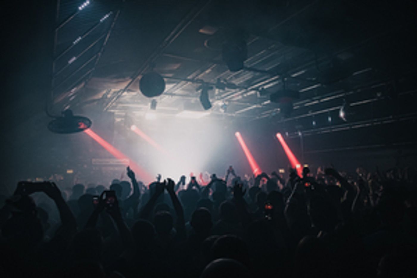 Gorilla Unveils Spring Series of Events with Gilles Peterson, Todd Terje & More  Image