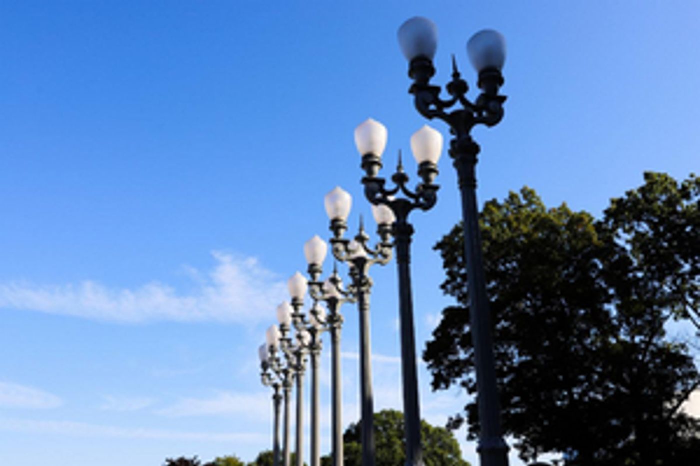 Rose Art Museum Suspends Operations Due to COVID-19  Image