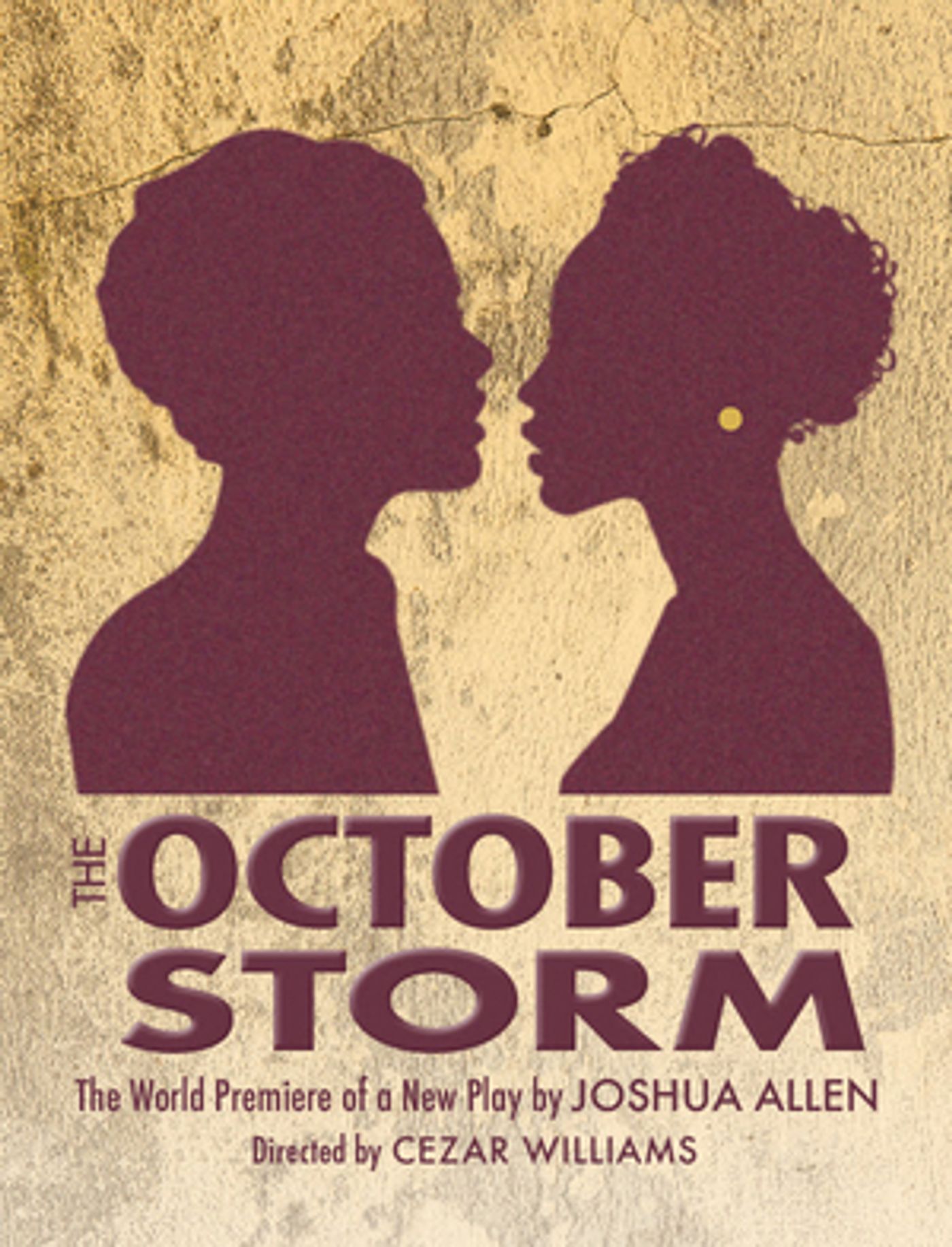 Hudson Stage Company THE OCTOBER STORM Postponed Hudson Stage Company THE OCTOBER STORM Postponed Image