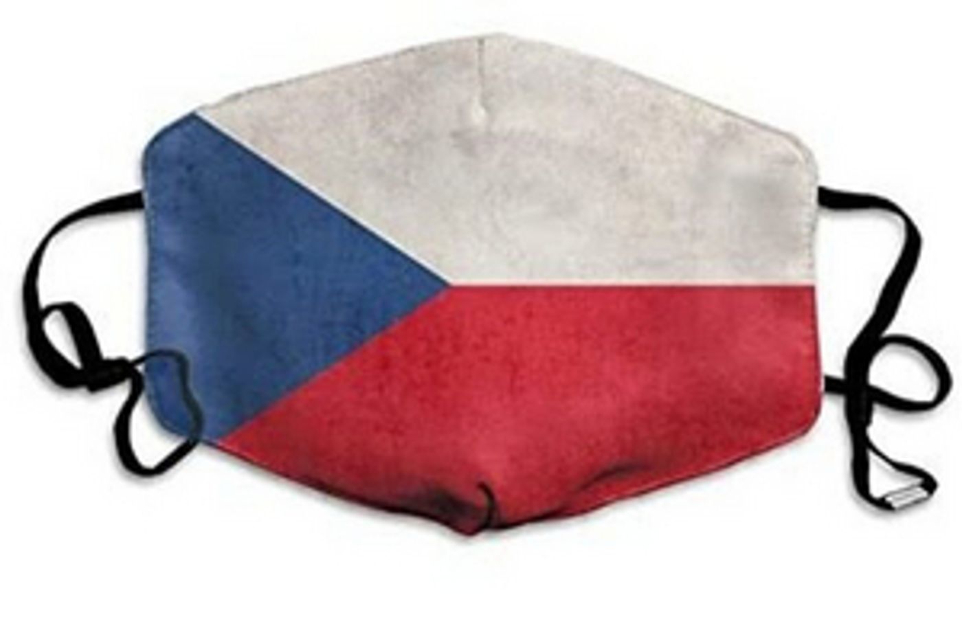 Czech Center Museum Houston Launches Live-Stream Online Tour  Image