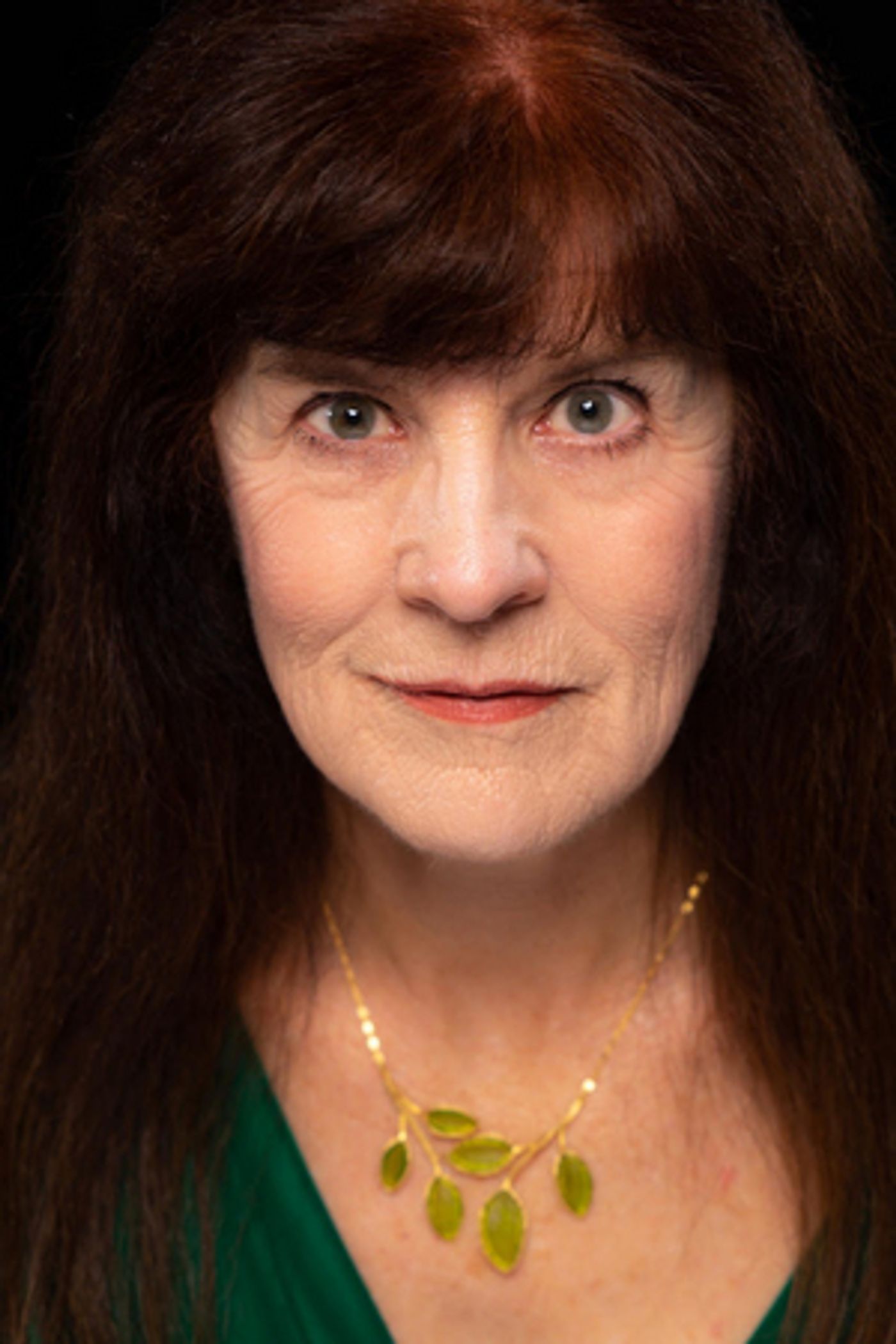 BWW Spotlight Series: Meet Susan Stangl - Director, Sound Designer, Actress, Singer and Medical School Professor  Image