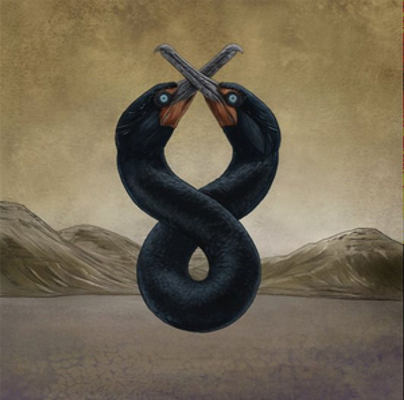 San Fermin Release Second Chapter of 'The Cormorant' Project San Fermin Release Second Chapter of 'The Cormorant' Project Image