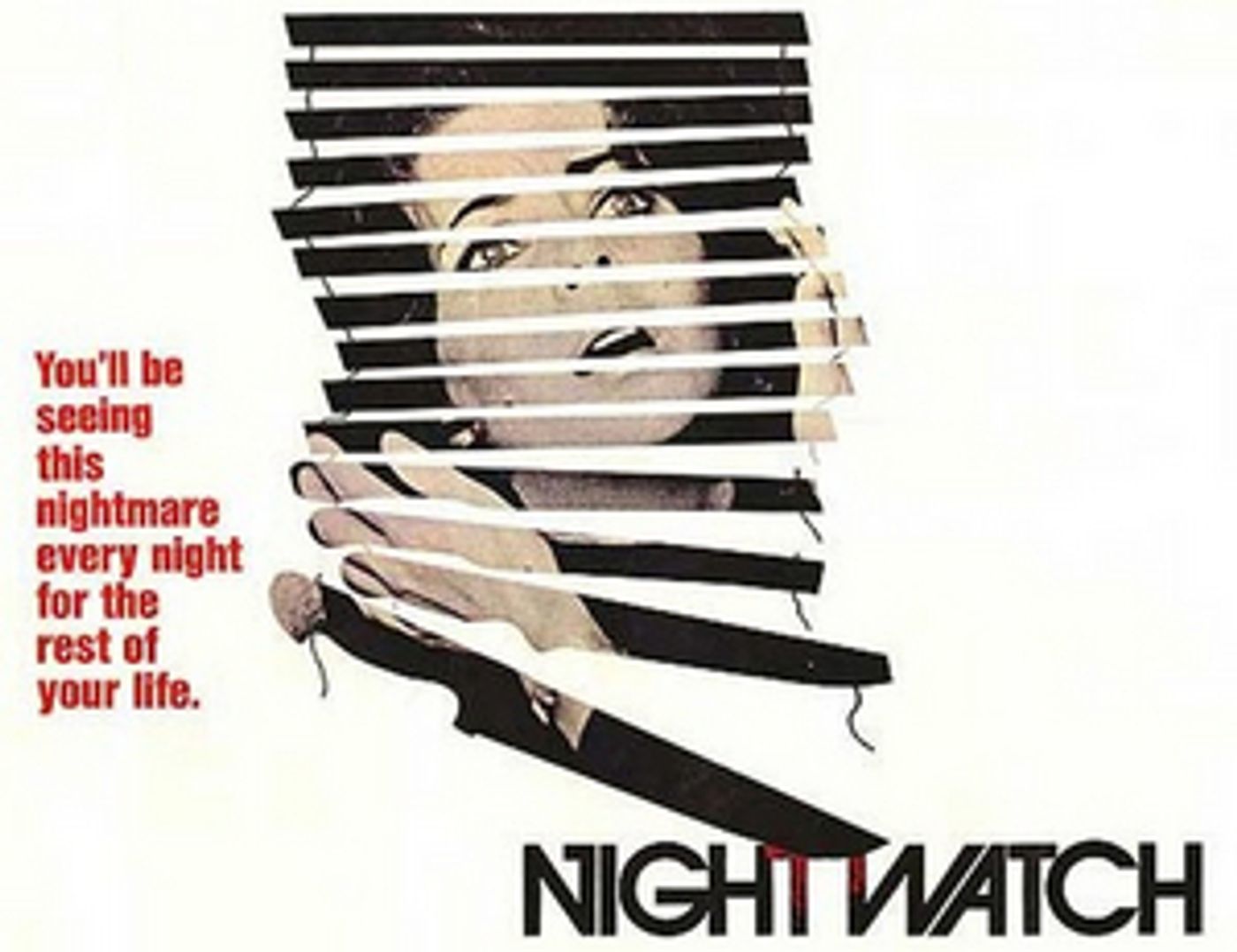 BWW Spotlight Series: Meet Brandon Ferruccio – Fulfilling Every Actor's Dream to Direct Plays  Image