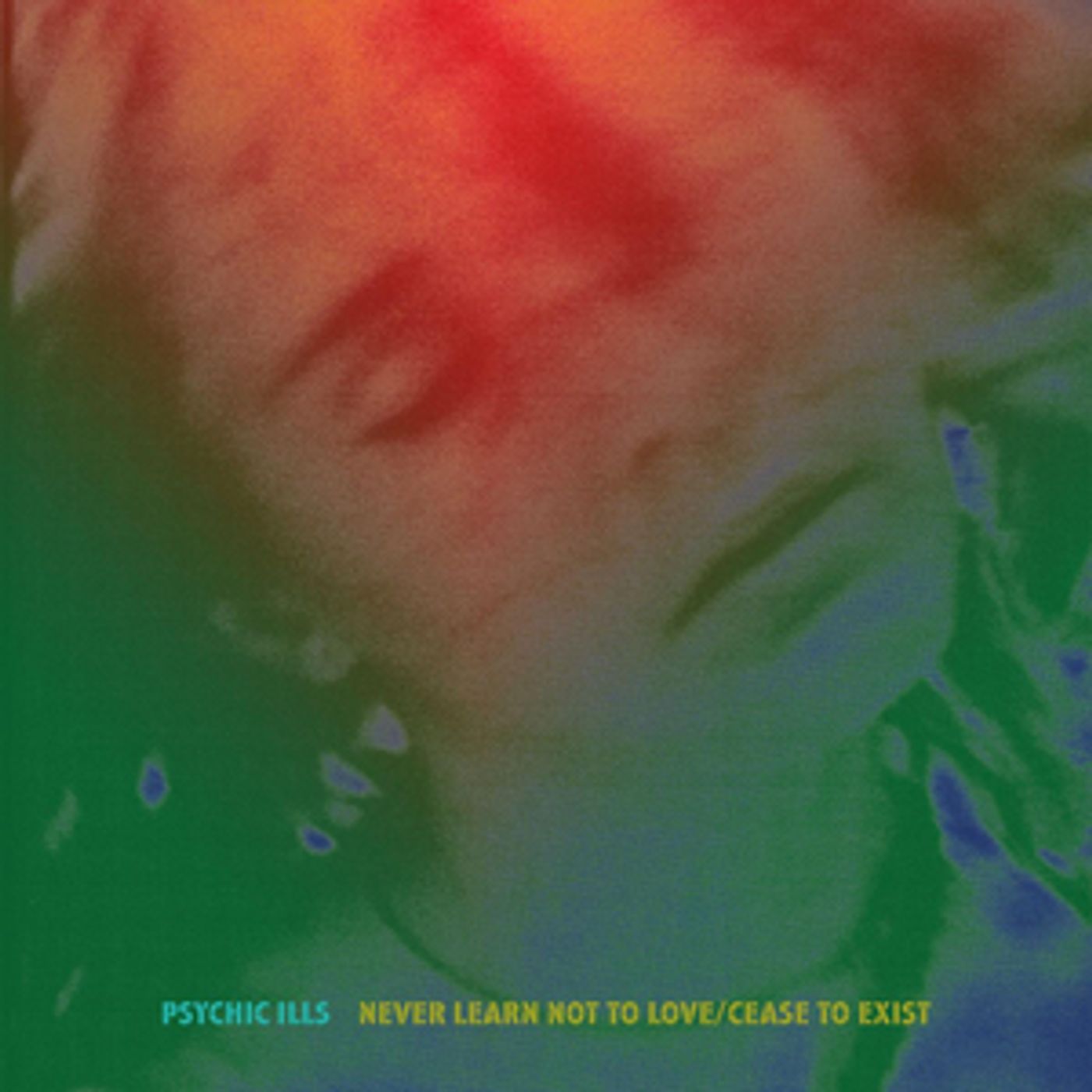 Psychic Ills Release 'Never Learn Not To Love / Cease To Exist'  Image