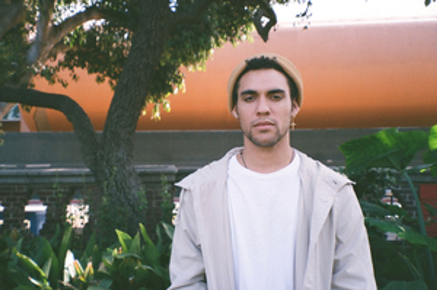 Cassowary Shares New Single 'Moth'  Image