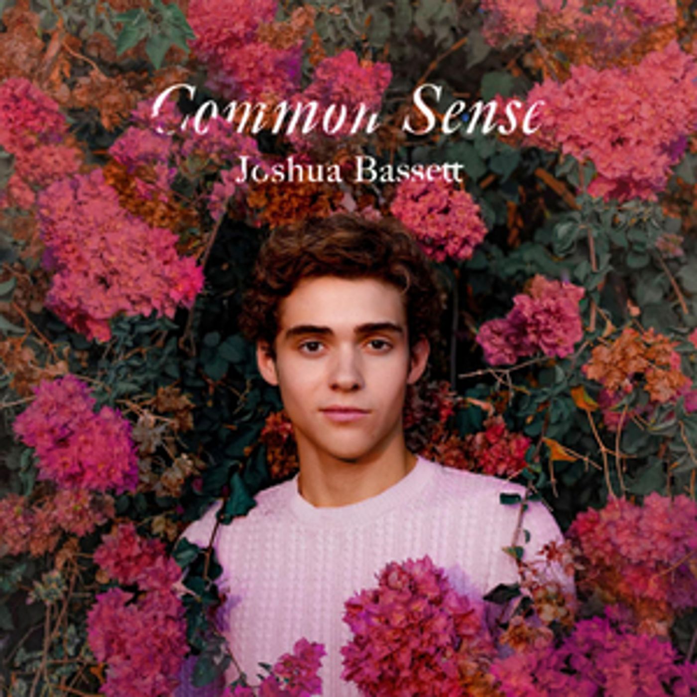 HIGH SCHOOL MUSICAL: THE MUSICAL: THE SERIES Star Joshua Bassett Releases Debut Song 'Common Sense'  Image