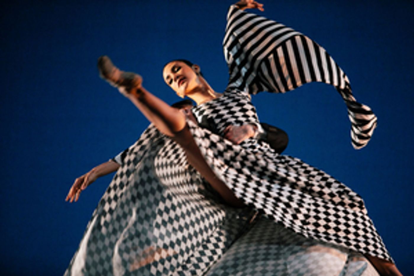 Chamber Dance Project Reschedules its Summer Season From June to July  Image