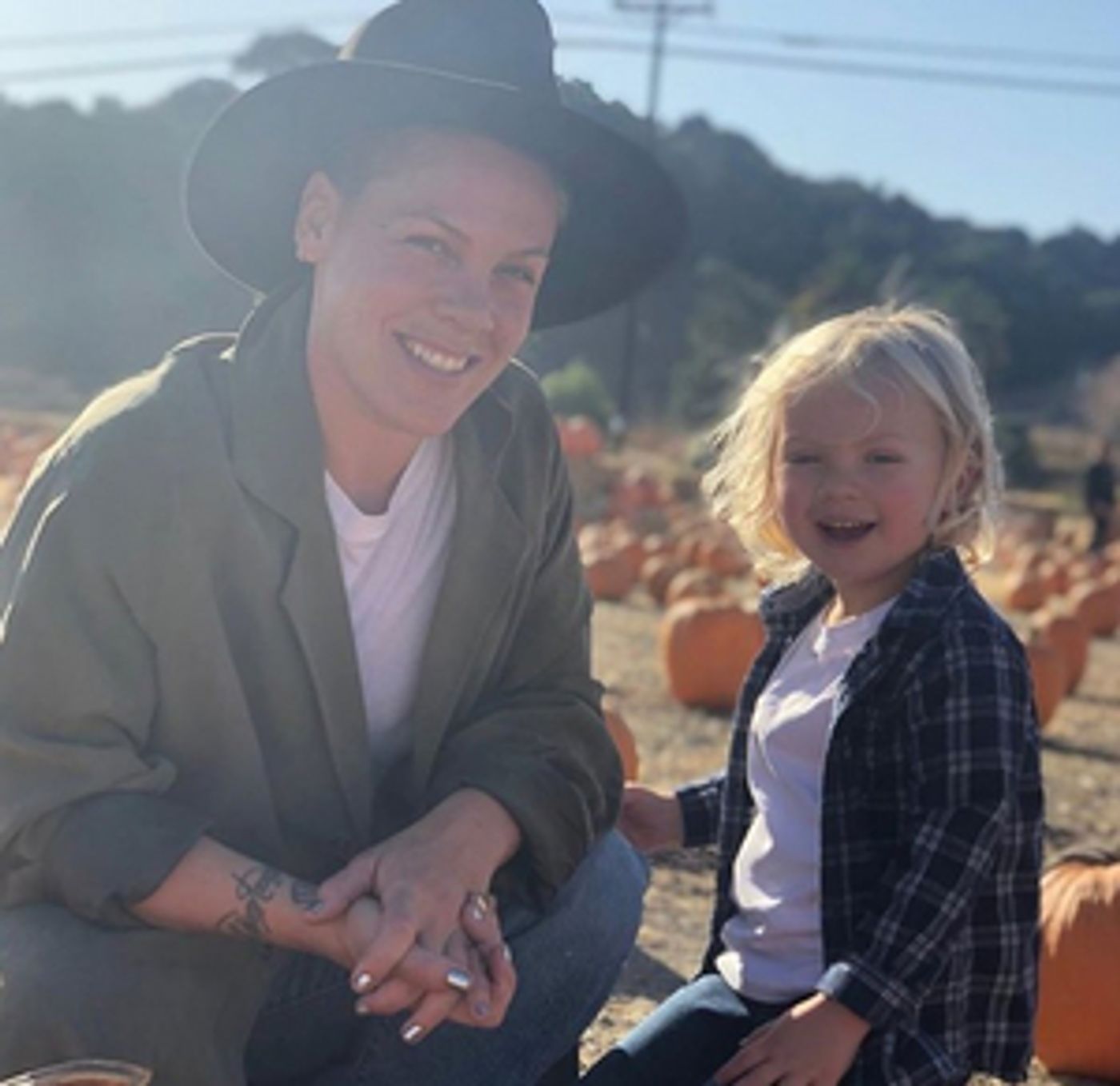 P!NK Recovers From Covid-19; Donates $1 Million to Relief Efforts P!NK Recovers From Covid-19; Donates $1 Million to Relief Efforts Image
