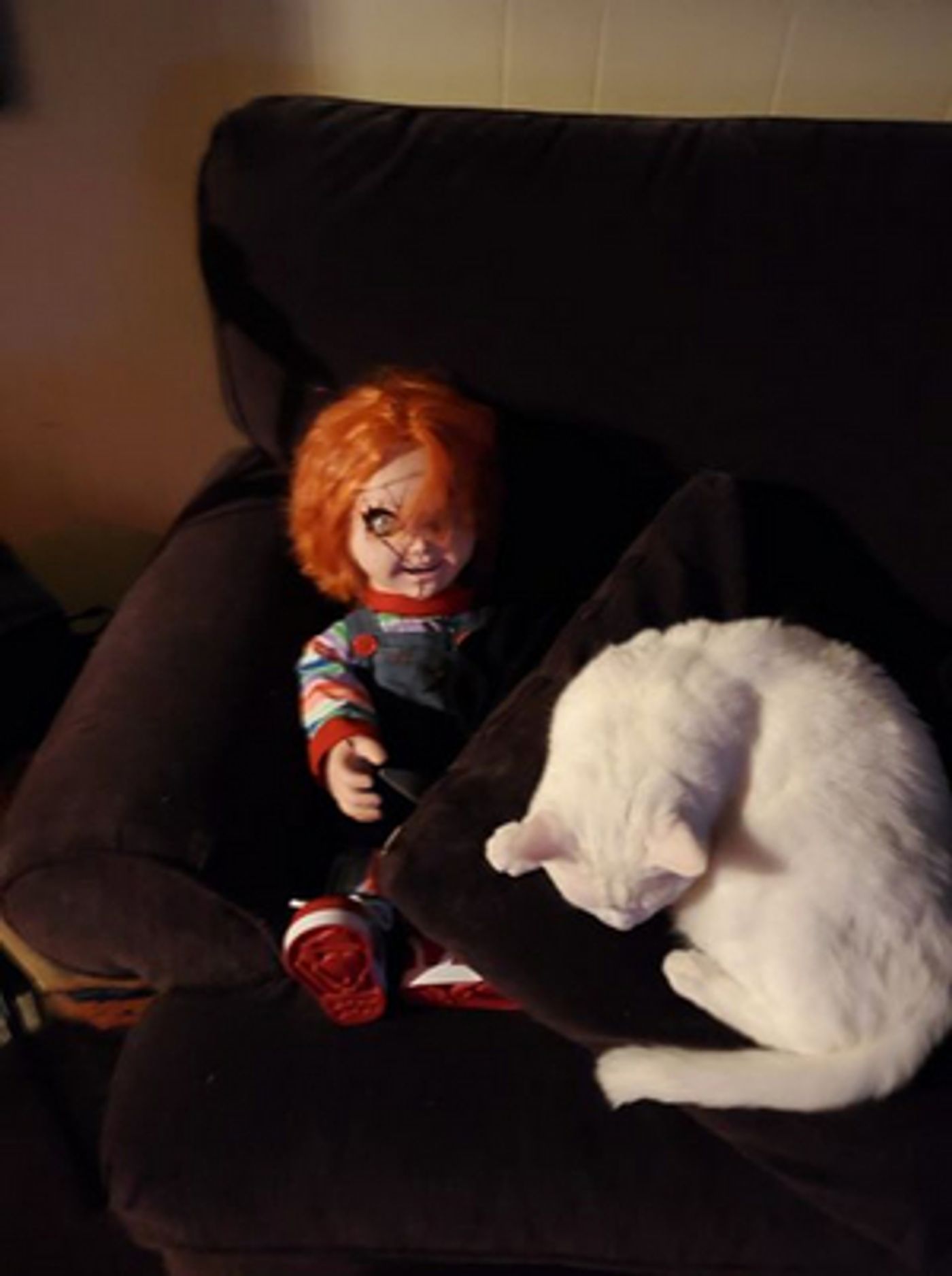 BWW Backstage Pets: EVAN HARRIS and Champ  Image