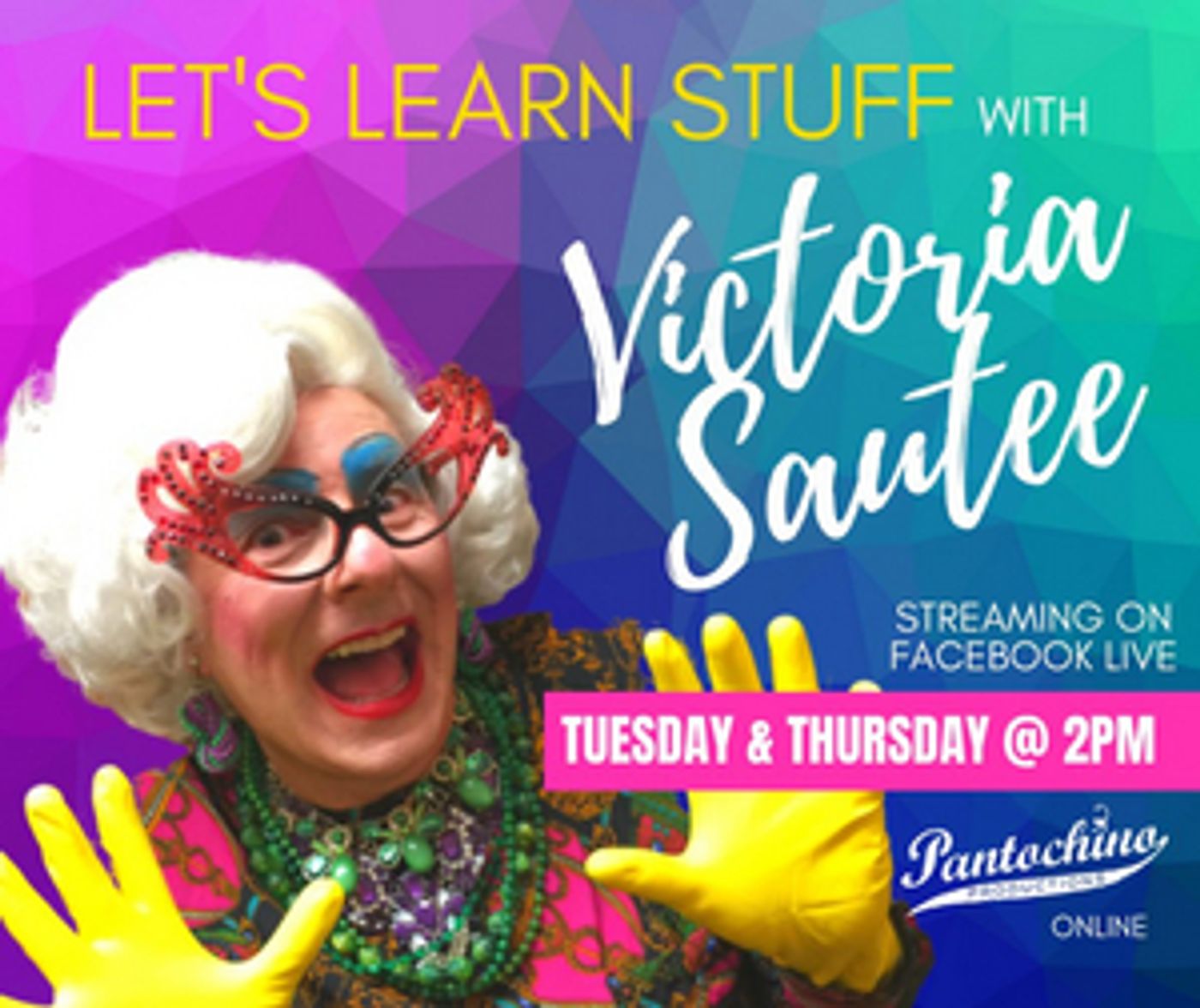 Pantochino's LET'S LEARN STUFF to Stream Live on Facebook  Image