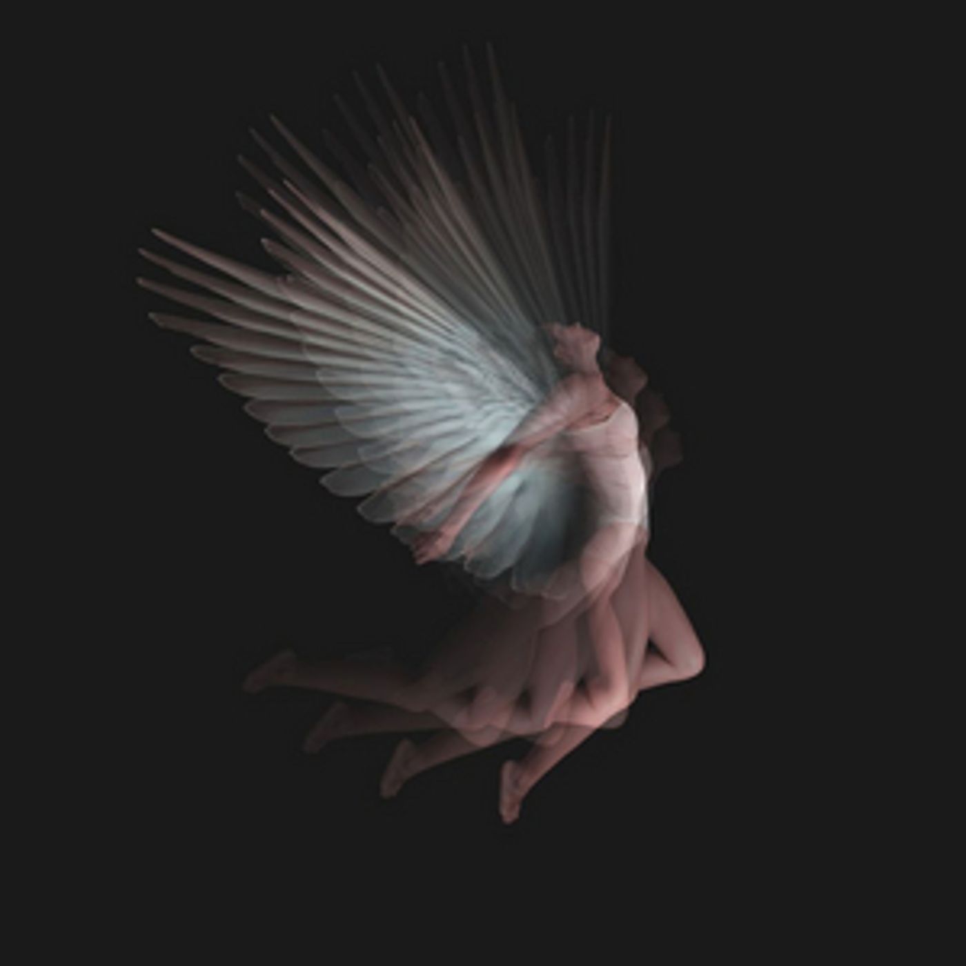 Opera Saratoga Announces Cancellation Of 2020 Summer Festival Opera Saratoga Announces Cancellation Of 2020 Summer Festival Image