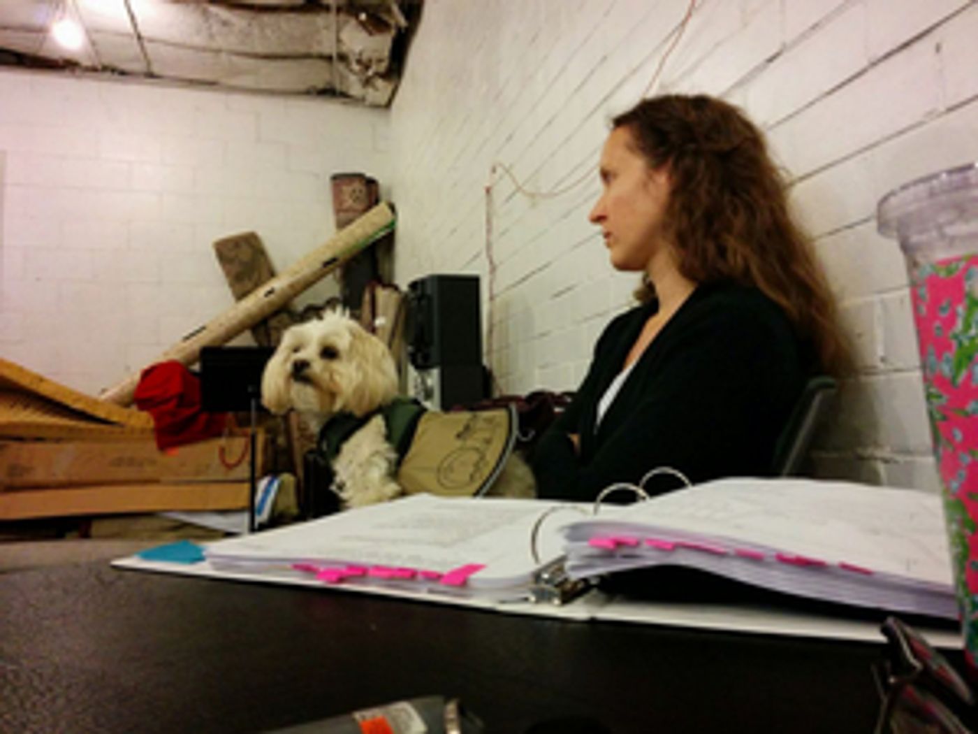 BWW Backstage Pets: MAEGAN MCNERNEY AZAR & THOMAS AZAR and Benjamin  Image