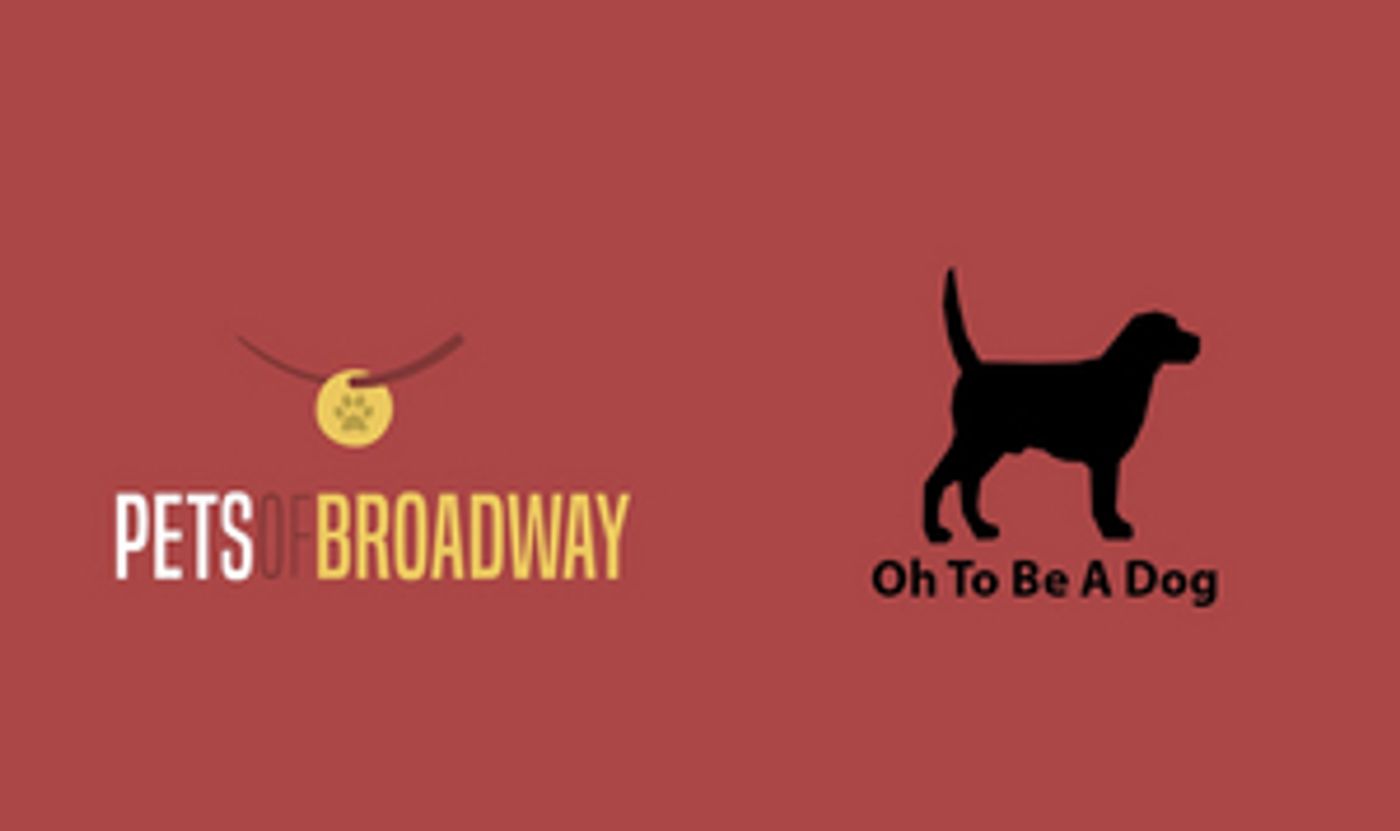 VIDEO: Watch Jeremy Jordan, Shoshana Bean, Karen Olivo & More Share a Happy Moments with Their Dogs!  Image