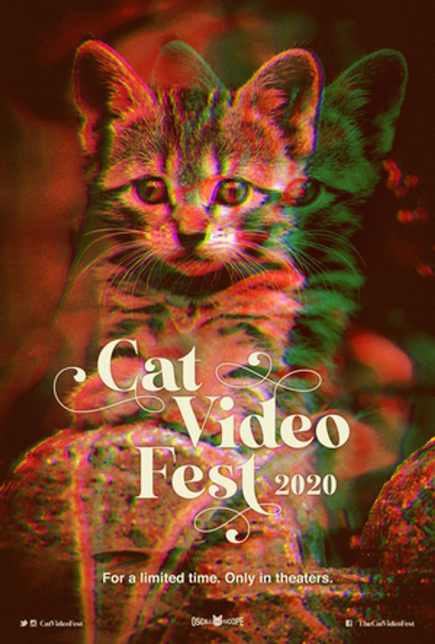 CatVideoFest Launches Virtual Edition to Benefit the Strand Theater CatVideoFest Launches Virtual Edition to Benefit the Strand Theater Image