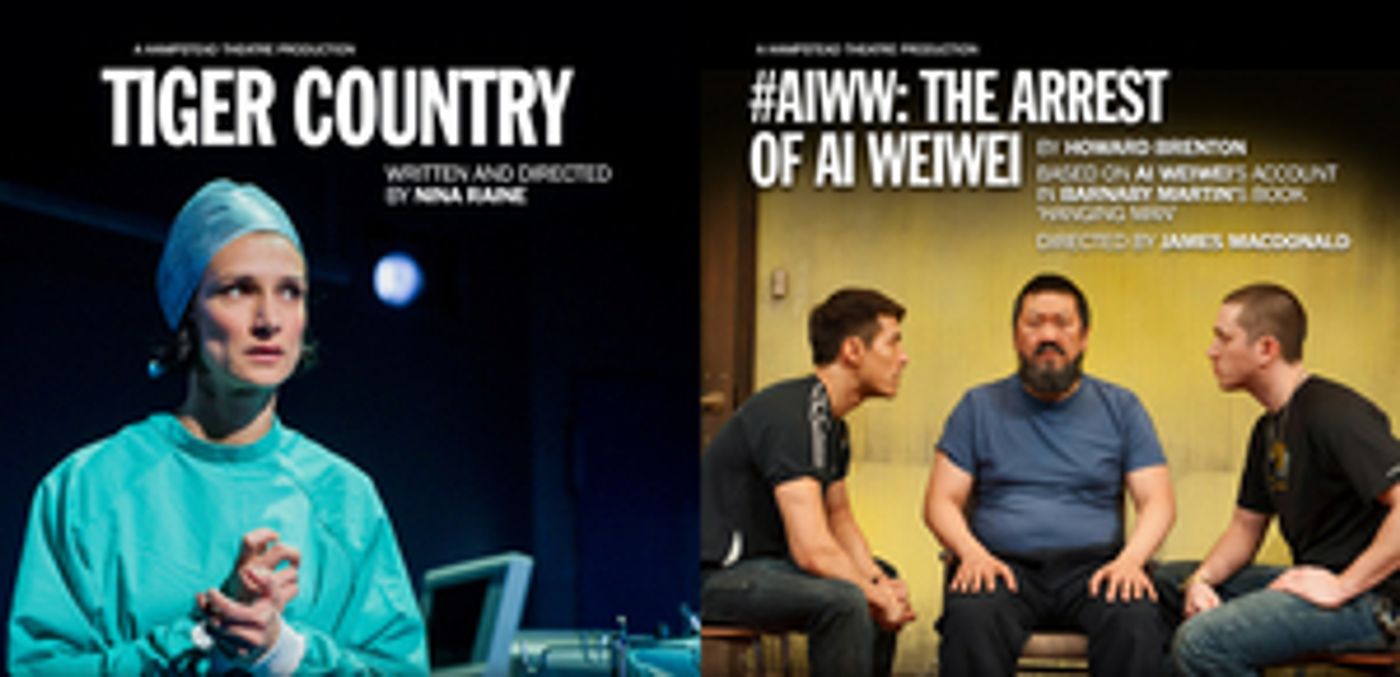 Hampstead Theatre Extends Free Digital Streaming Series With TIGER COUNTRY and More  Image