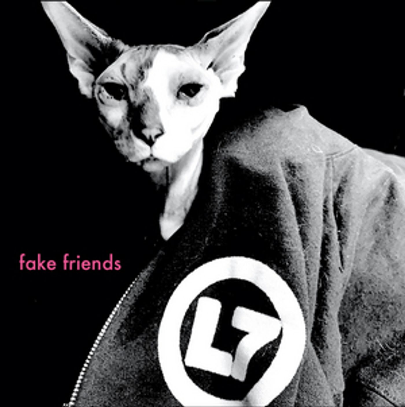L7 Unleashes 'Fake Friends' Single ft. Joan Jett L7 Unleashes 'Fake Friends' Single ft. Joan Jett Image