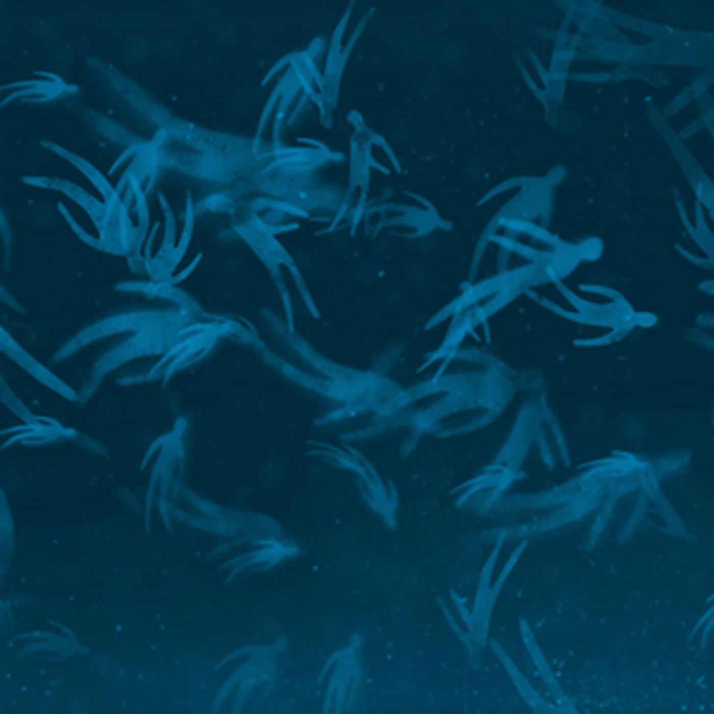 Bright Eyes Release 'Forced Convalescence' Bright Eyes Release 'Forced Convalescence' Image