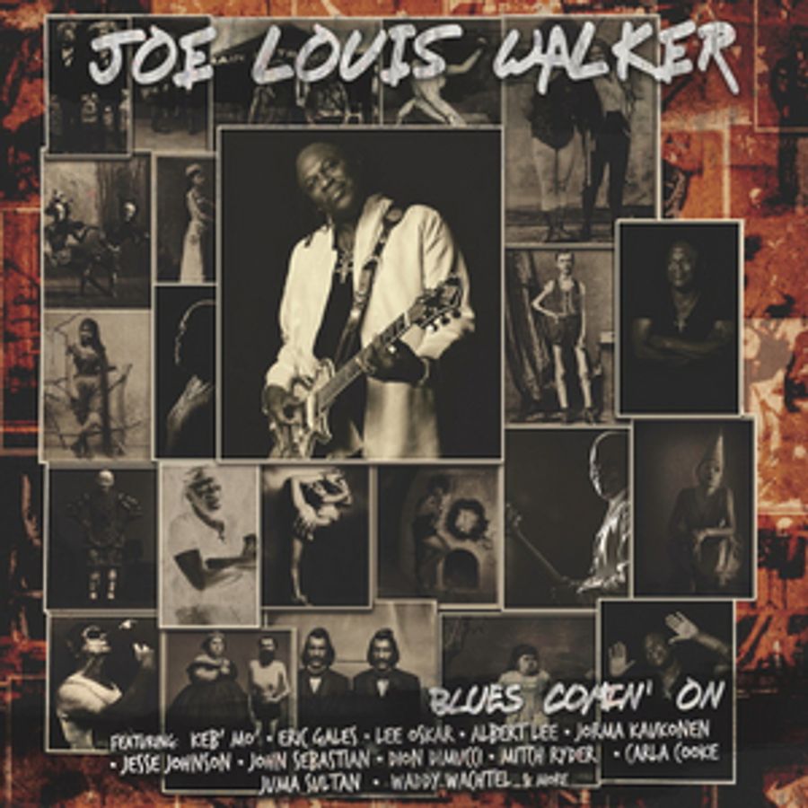 Blues Veteran Joe Louis Walker Announces New Album Image