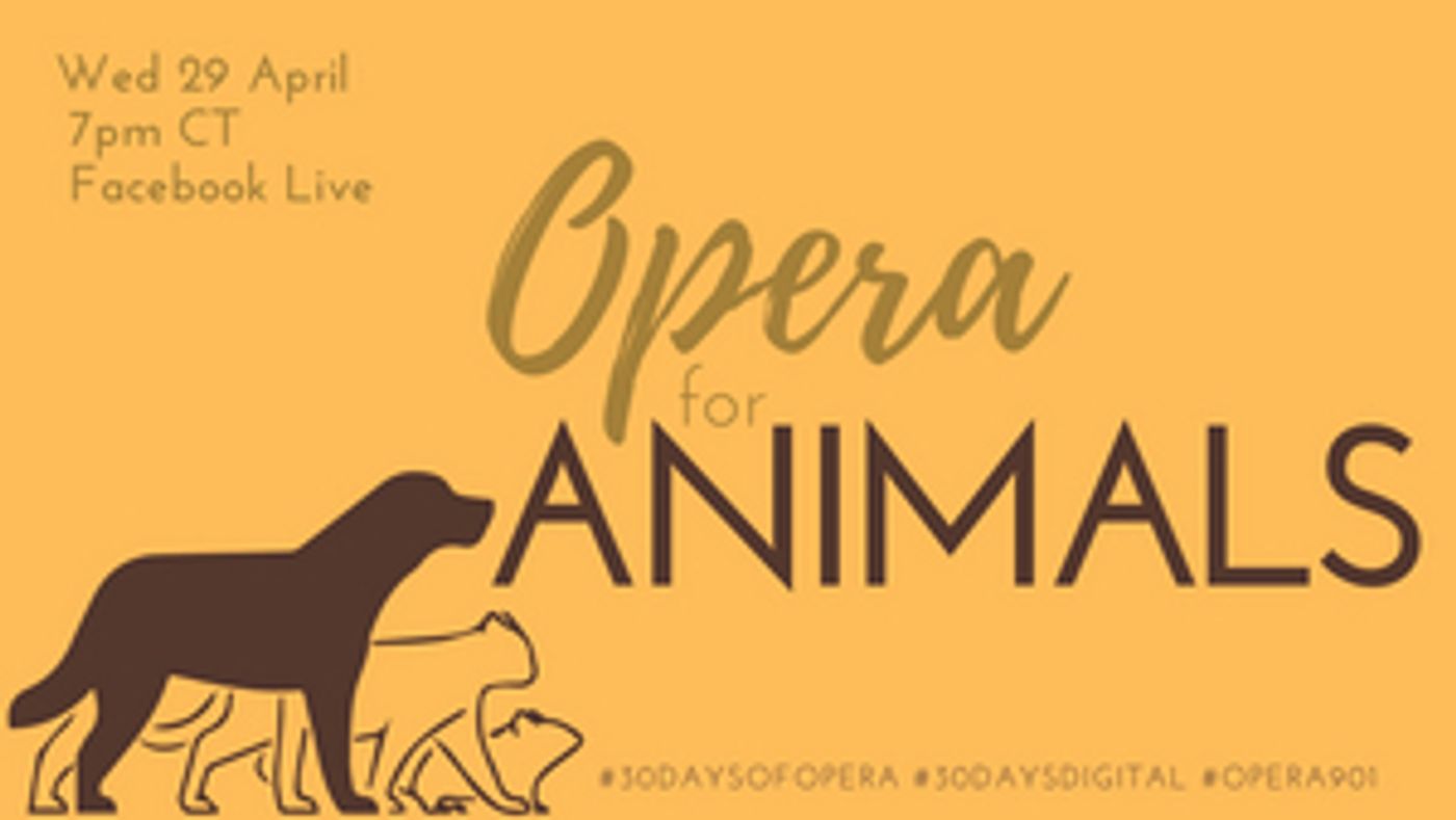 Opera Memphis Continues Online 30 DAYS OF OPERA Series With OPERA FOR ANIMALS Opera Memphis Continues Online 30 DAYS OF OPERA Series With OPERA FOR ANIMALS Image