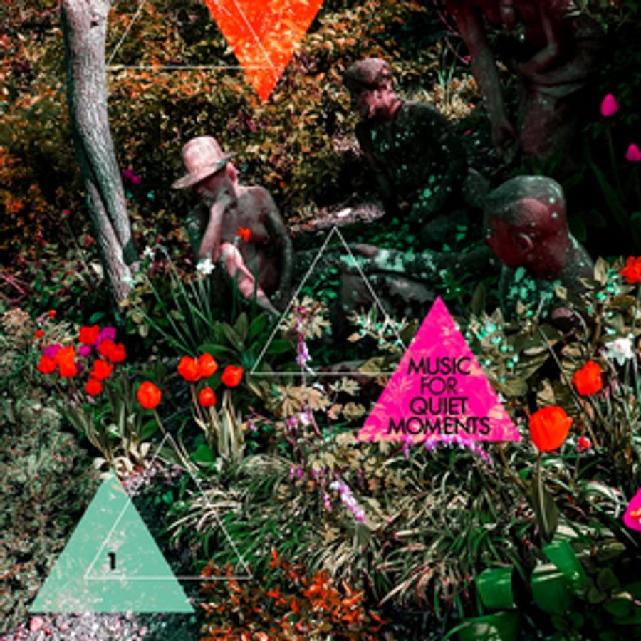 DGM Records Launches Robert Fripp 'Music for Quiet Moments' Series Image