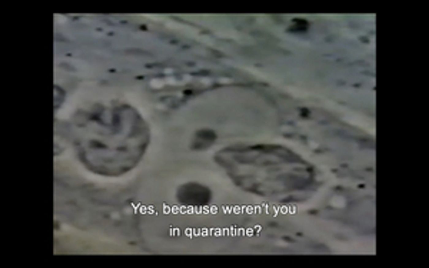 Institute of Contemporary Art, Miami Commissions Four Miami Artists to Create New Digital Works  Image