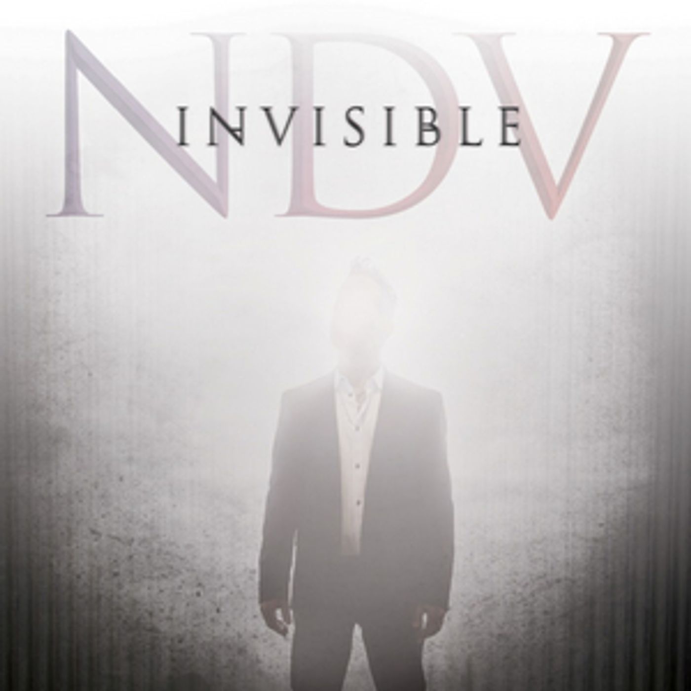 Nick D'Virgilio to Release New Solo Album INVISIBLE  Image