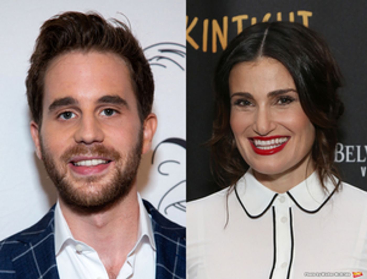 Idina Menzel, Ben Platt, Disney on Broadway Stars & More to Perform on THE DISNEY FAMILY SINGALONG: VOLUME II  Image