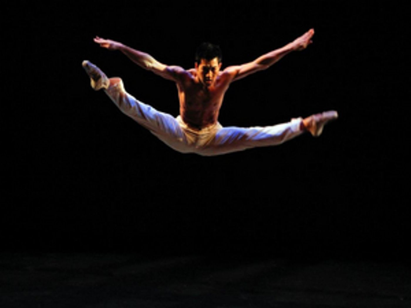 VIDEO: Dance Against Cancer Celebrates 10 Years by Streaming 'Year 1' Performances  Image