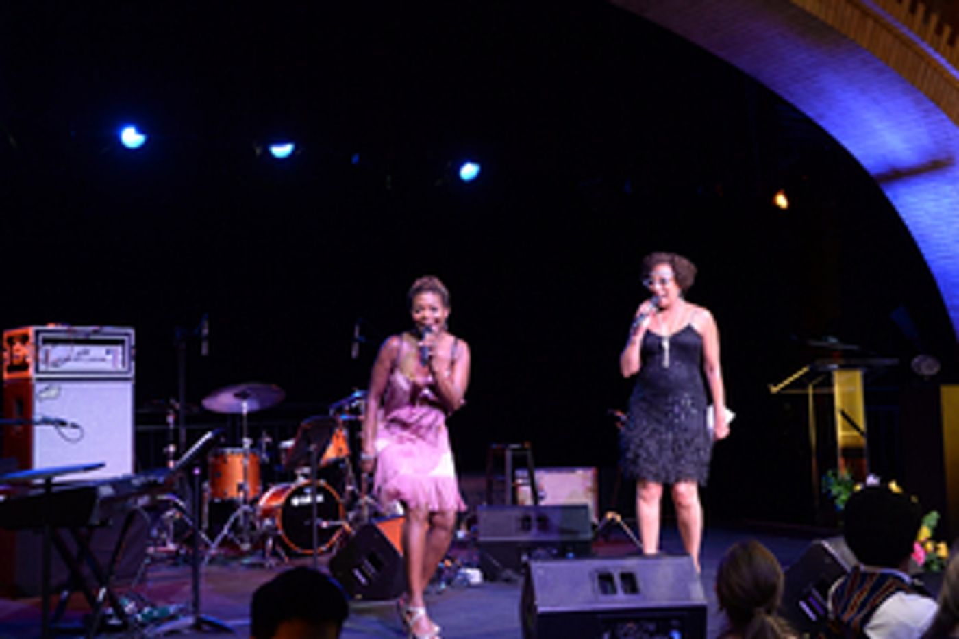 LaChanze, Tamara Tunie and Celia Rose Gooding to Co-Host CELEBRATING HARLEM STAGE  Image