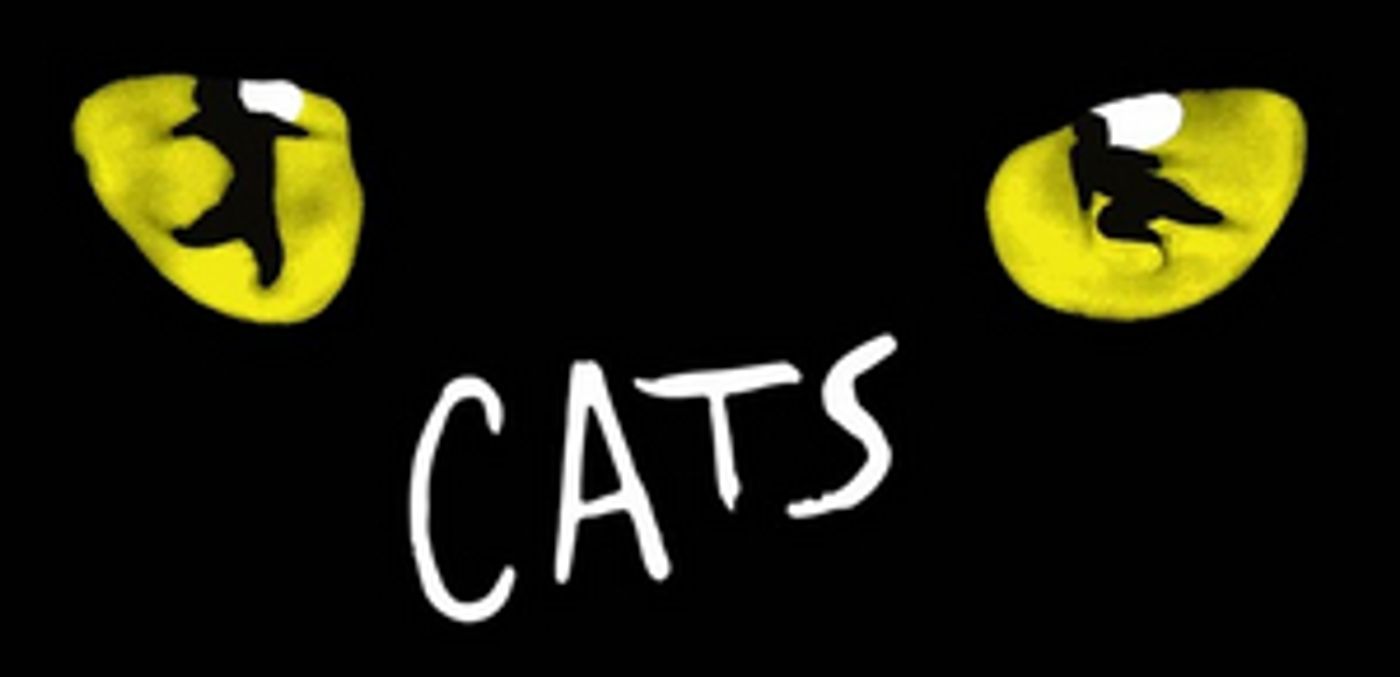 Feature: CATS IL MUSICAL IN STREAMING su You Tube Feature: CATS IL MUSICAL IN STREAMING su You Tube Image